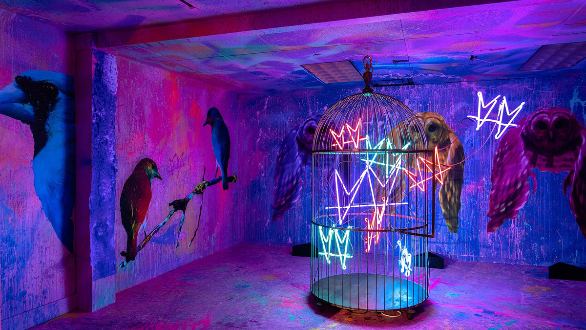 Room installation by not.travis at The Crescent in Dallas with painted birds, a cage and linked hearts in neon